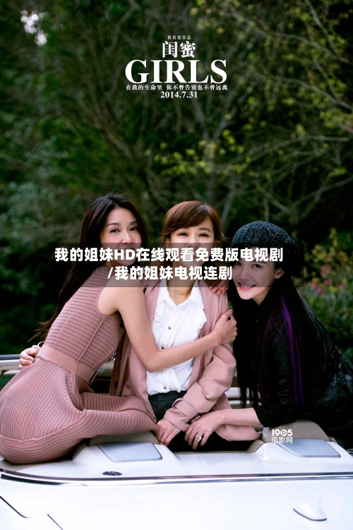 我的姐妹HD在线观看免费版电视剧/我的姐妹电视连剧-第2张图片