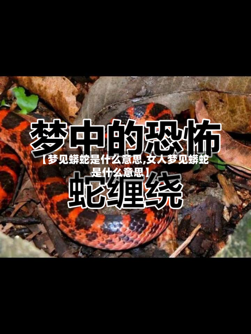 【梦见蟒蛇是什么意思,女人梦见蟒蛇是什么意思】-第2张图片