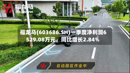 福龙马(603686.SH)一季度净利润6529.08万元，同比增长2.84%-第1张图片