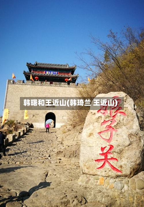 韩曙和王近山(韩琦兰 王近山)-第1张图片