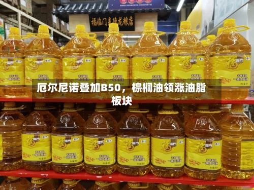 厄尔尼诺叠加B50	，棕榈油领涨油脂板块-第1张图片