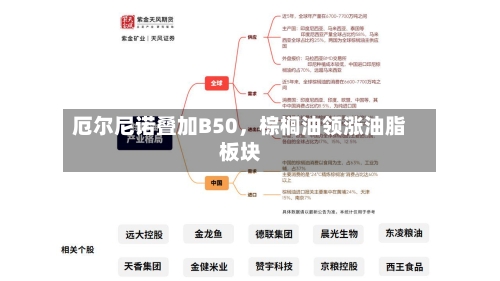 厄尔尼诺叠加B50，棕榈油领涨油脂板块-第2张图片