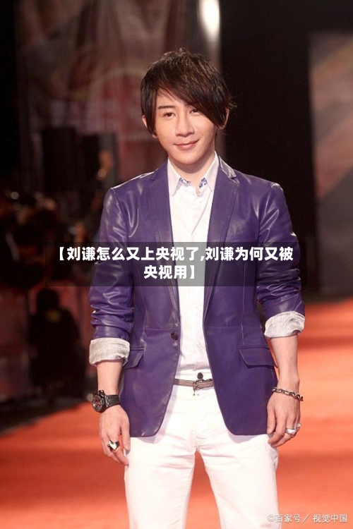 【刘谦怎么又上央视了,刘谦为何又被央视用】-第3张图片