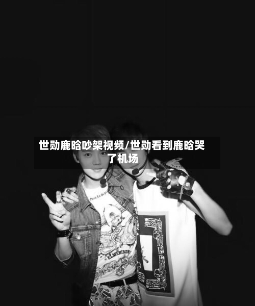 世勋鹿晗吵架视频/世勋看到鹿晗哭了机场-第1张图片