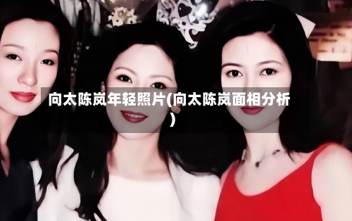 向太陈岚年轻照片(向太陈岚面相分析)-第1张图片
