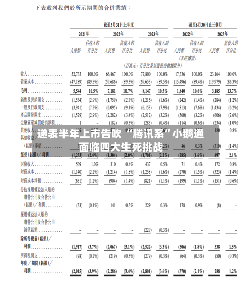 递表半年上市告吹 “腾讯系	”小鹅通面临四大生死挑战-第1张图片