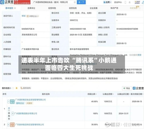 递表半年上市告吹 “腾讯系”小鹅通面临四大生死挑战-第2张图片