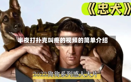 半夜打扑克叫疼的视频的简单介绍-第3张图片