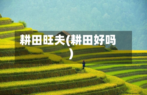 耕田旺夫(耕田好吗)-第3张图片