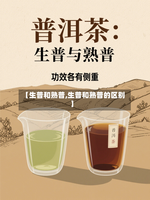 【生普和熟普,生普和熟普的区别】-第1张图片