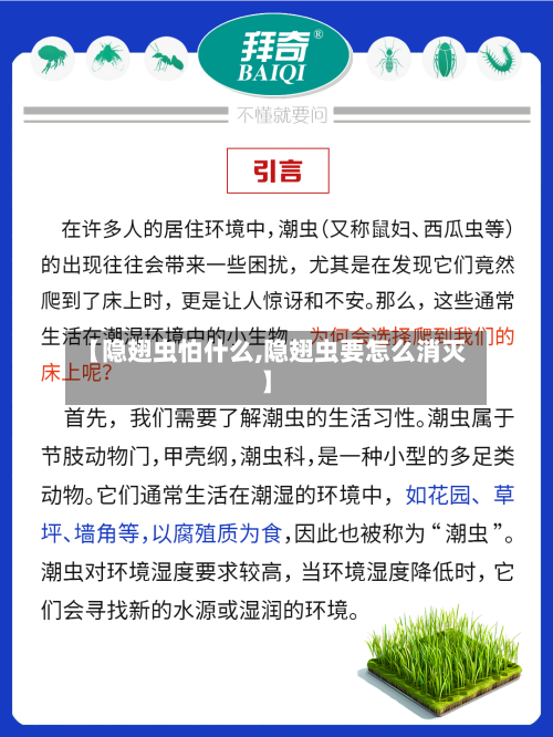 【隐翅虫怕什么,隐翅虫要怎么消灭】-第2张图片