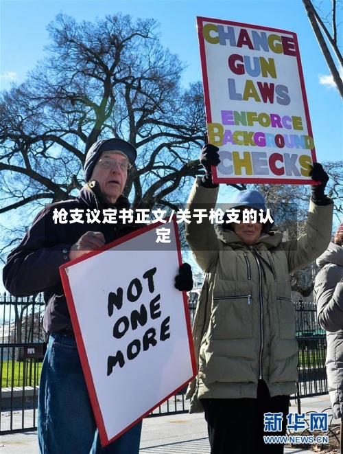 枪支议定书正文/关于枪支的认定-第3张图片