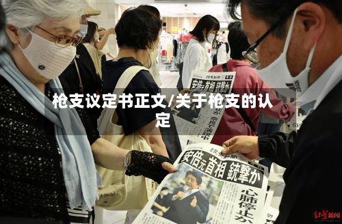 枪支议定书正文/关于枪支的认定-第2张图片