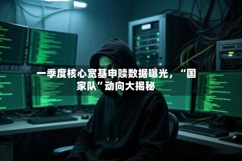 一季度核心宽基申赎数据曝光，“国家队”动向大揭秘-第2张图片