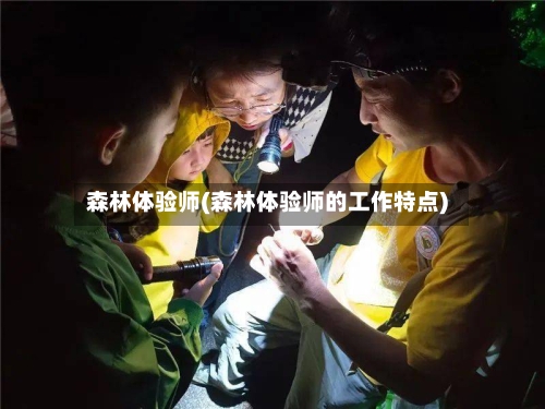 森林体验师(森林体验师的工作特点)-第3张图片