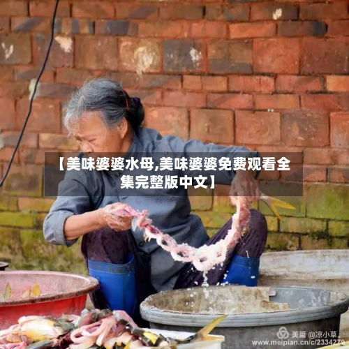 【美味婆婆水母,美味婆婆免费观看全集完整版中文】-第2张图片