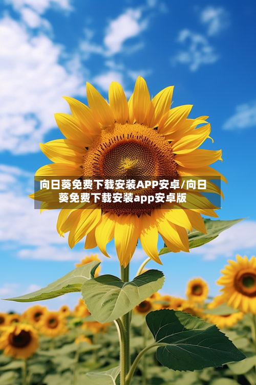 向日葵免费下载安装APP安卓/向日葵免费下载安装app安卓版-第2张图片
