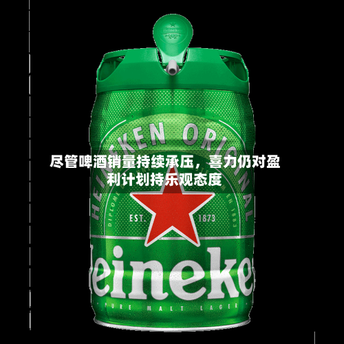 尽管啤酒销量持续承压，喜力仍对盈利计划持乐观态度-第1张图片