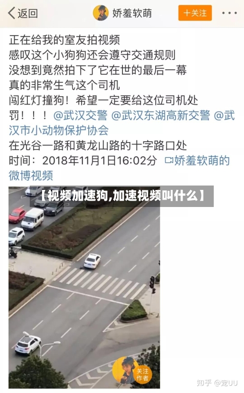 【视频加速狗,加速视频叫什么】-第3张图片