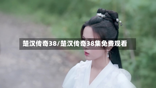 楚汉传奇38/楚汉传奇38集免费观看-第2张图片