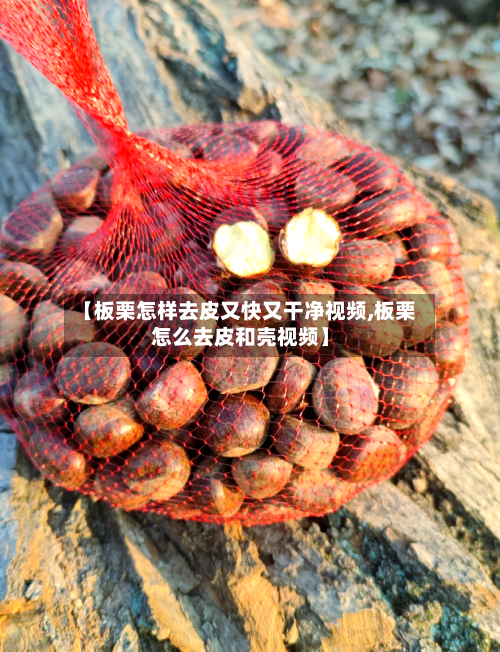 【板栗怎样去皮又快又干净视频,板栗怎么去皮和壳视频】-第1张图片