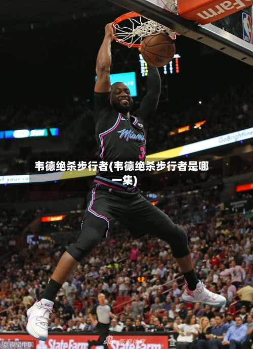 韦德绝杀步行者(韦德绝杀步行者是哪一集)-第1张图片