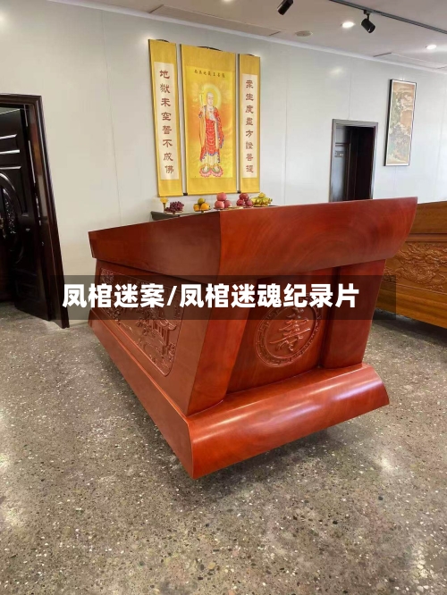 凤棺迷案/凤棺迷魂纪录片-第1张图片