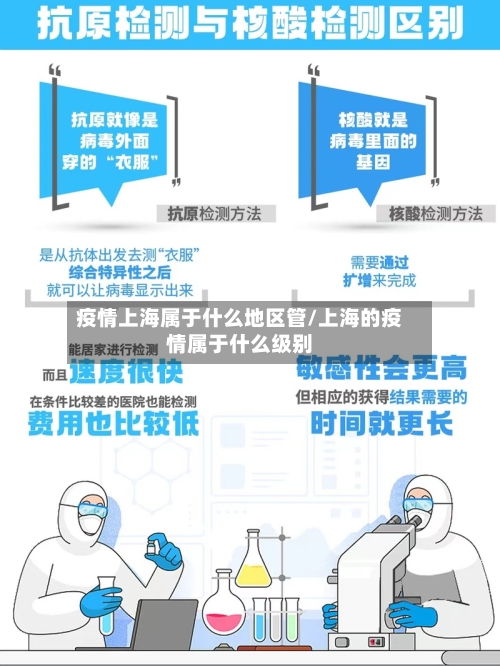 疫情上海属于什么地区管/上海的疫情属于什么级别-第2张图片