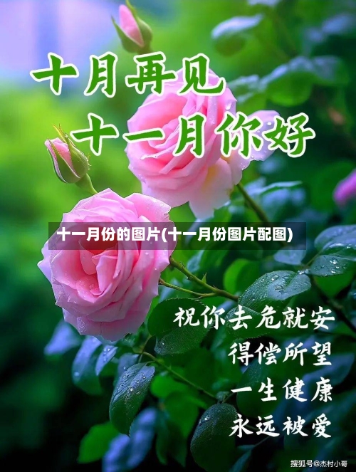 十一月份的图片(十一月份图片配图)-第1张图片