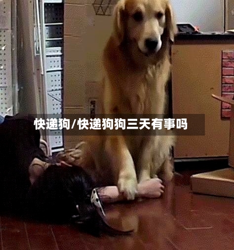 快递狗/快递狗狗三天有事吗-第1张图片