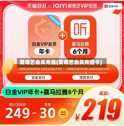 爱奇艺会员充值(爱奇艺会员充值卡)-第3张图片