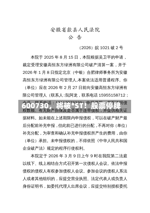 600730，将被*ST！股票停牌-第2张图片
