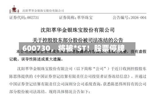 600730	，将被*ST！股票停牌-第1张图片