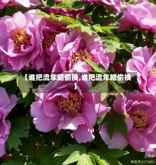 【谁把流年暗偷换,谁把流年暗偷换】-第3张图片