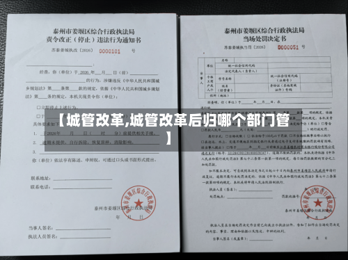 【城管改革,城管改革后归哪个部门管】-第1张图片