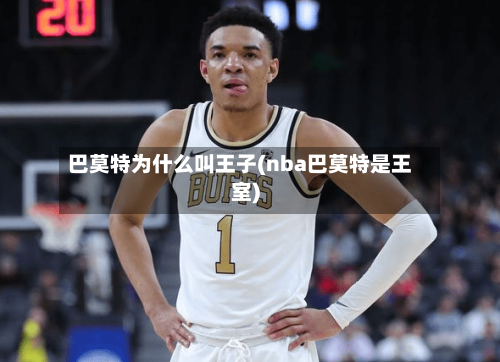 巴莫特为什么叫王子(nba巴莫特是王室)-第3张图片