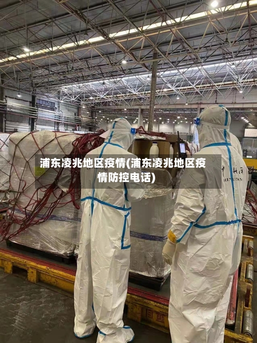 浦东凌兆地区疫情(浦东凌兆地区疫情防控电话)-第2张图片