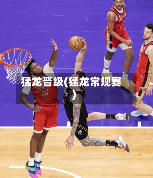 猛龙晋级(猛龙常规赛)-第1张图片