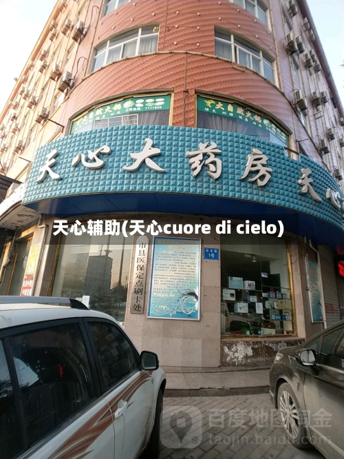 天心辅助(天心cuore di cielo)-第3张图片