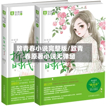 致青春小说完整版/致青春原著小说无弹窗-第1张图片