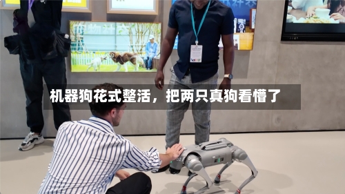 机器狗花式整活	，把两只真狗看懵了-第1张图片