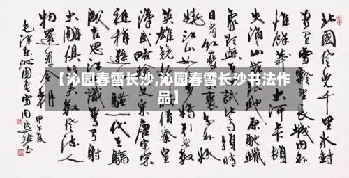 【沁园春雪长沙,沁园春雪长沙书法作品】-第1张图片