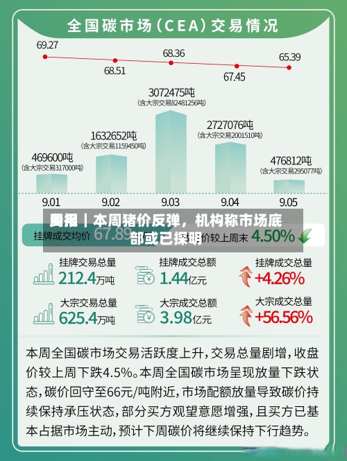 费用周报｜本周猪价反弹，机构称市场底部或已探明-第1张图片