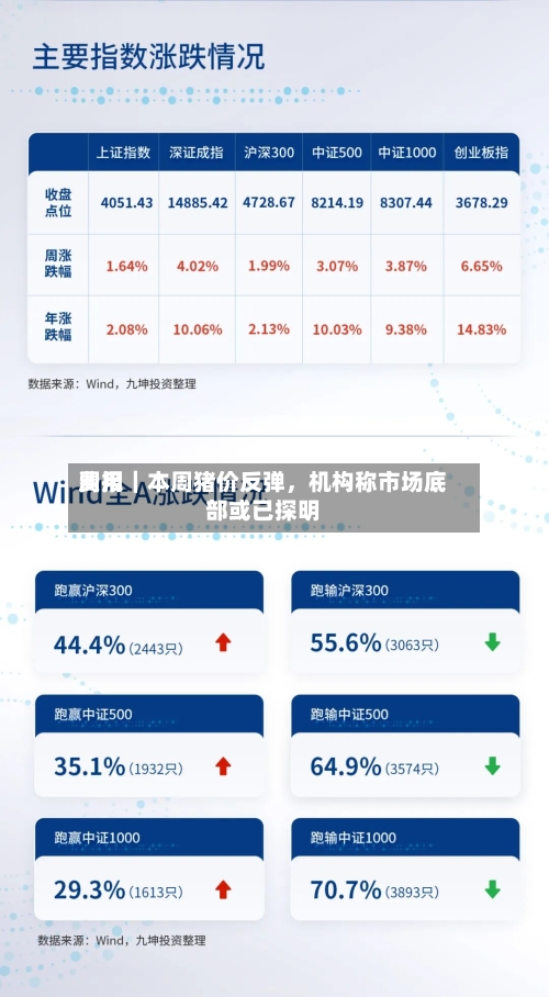 费用周报｜本周猪价反弹，机构称市场底部或已探明-第2张图片