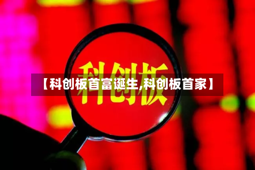 【科创板首富诞生,科创板首家】-第2张图片