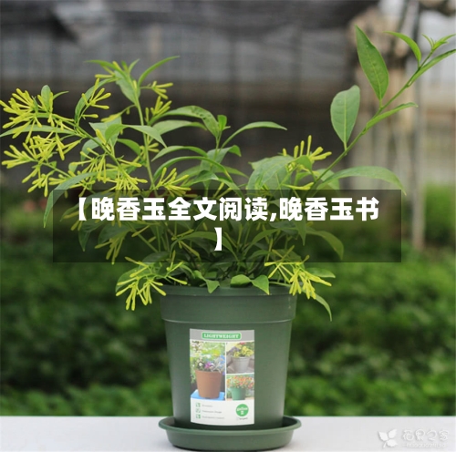 【晚香玉全文阅读,晚香玉书】-第2张图片