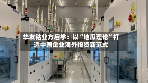 华友钴业方启学：以“地瓜理论”打造中国企业海外投资新范式-第2张图片
