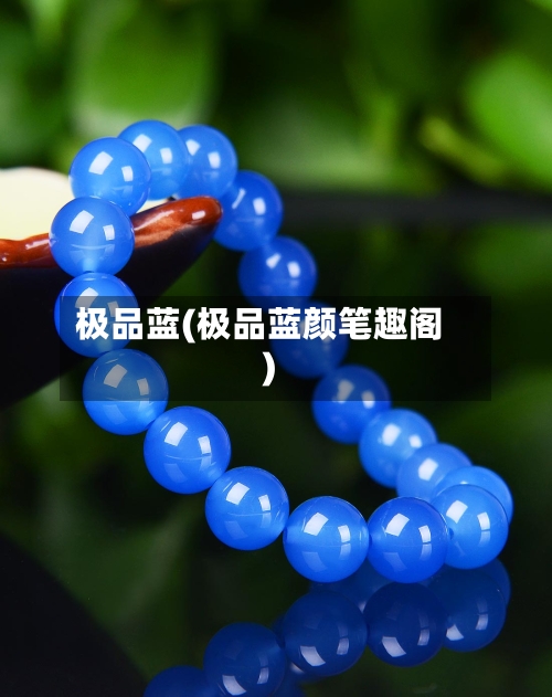 极品蓝(极品蓝颜笔趣阁)-第3张图片