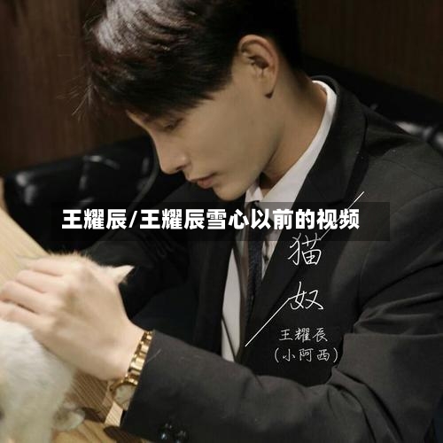 王耀辰/王耀辰雪心以前的视频-第2张图片