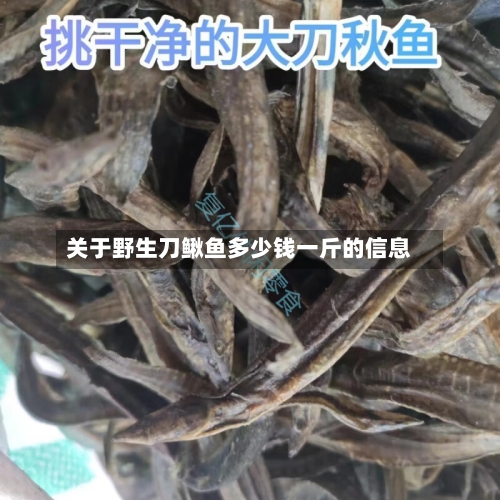 关于野生刀鳅鱼多少钱一斤的信息-第1张图片
